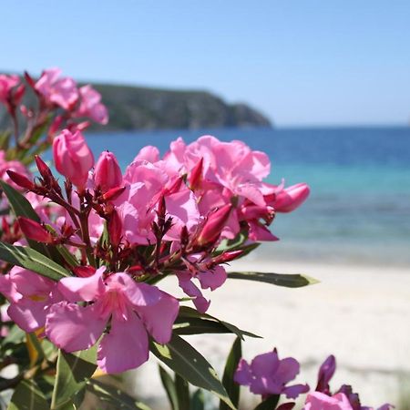 Akrotiri Summer Apartments Pefkochori Zewnętrze zdjęcie